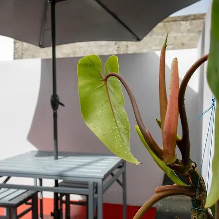 Guestready - Florbela Apartment Holiday home Sao Vicente Ferreira